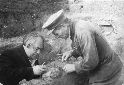 The 1954 photo provided by the Centre for GeoGenetics of the Natural History Museum of Denmark shows M .M. Gerasimov (on the right) with A.N. Rogachev (head of expedition on the left) excavating the fossil of Kostenki XIV in Kostenki-Borshchevo in what is now western Russia. A study of ancient DNA material has confirmed that the human populations now predominant in Eurasia and East Asia split more than 36,200 years ago. Researchers used new techniques to analyze genetic samples from the left tibia of a young man who died 38,700-36,200 years ago. (AP Photo/Peter the Great Museum of Anthropology and Ethnography)