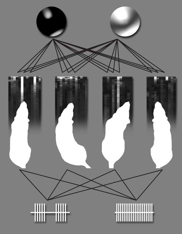 Illustration of "organic computer". (Credit: Katie Zhuang/Nicolelis Lab/Duke)