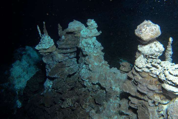 Image of a hydrothermal vent field along the Arctic Mid-Ocean Ridge, close to where 'Loki' was found in marine sediments. (Source: Centre for Geobiology (University of Bergen, Norway) by R.B. Pedersen)