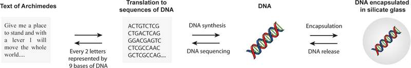 (Image: Courtesy of the Robert Green, Ph.D.)