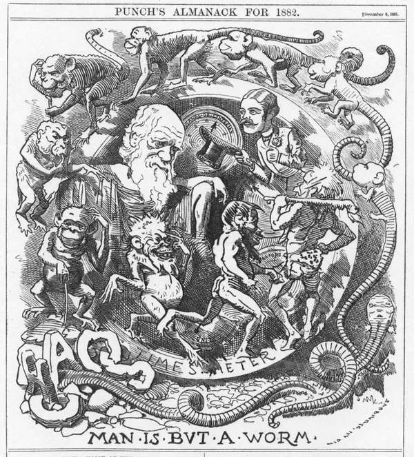 A satirical cartoon from 1882, parodying Charles Darwin's theory of evolution, on the publication of The Formation of Vegetable Mould through the Action of Worms (1881)