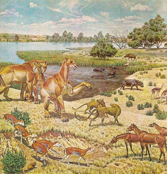 Restoration of Miocene fauna of North America, on a mural. (Source: Wikimedia/ Jay Matternes)