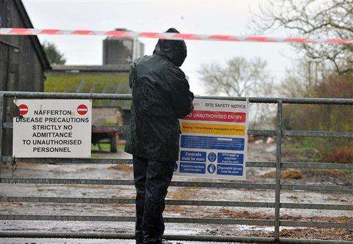  
              Officials place signs to restrict entry at a duck farm in Nafferton, England, where measures to prevent the spread of bird flu are under way after the first serious case of the disease in the UK for six-years, Monday Nov. 17, 2014.  Farmers around the country have been warned to be on alert after at least one case of the H5 bird flu virus was confirmed at this duck breeding farm, but officials insisted Monday that the risk to public health is very low. (AP Photo / Steve Parkin, PA) UNITED KINGDOM OUT - NO SALES - NO ARCHIVES
             