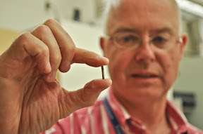 Dr. Weir holds one of the tiny sensors to be implanted in each forearm muscle to send signals to the prosthetic hand. (Source: Richard Weir, U. Colorado)