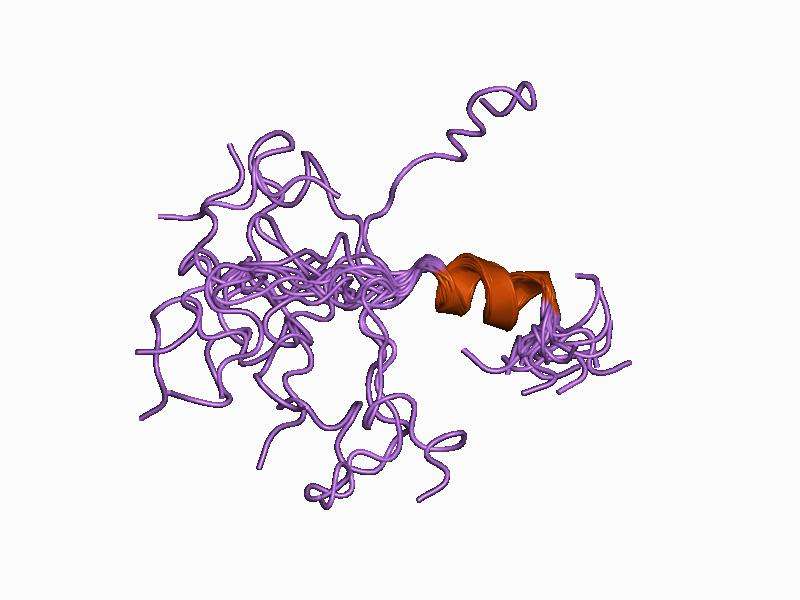 Amyloid beta-peptide