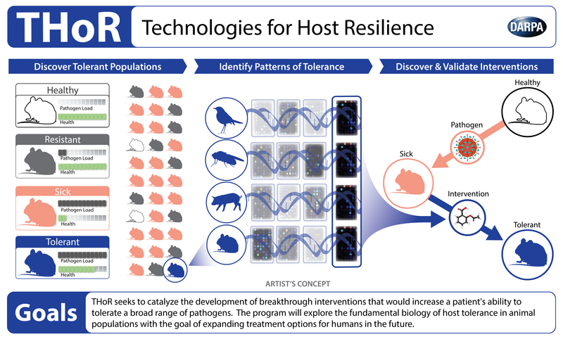 An explanation of the THoR program. Courtesy of DARPA