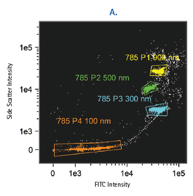 Figure 1. Fluorescent intensity scatter plots and images of FITC-conjugated beads validate the Amnis ImageStream for submicron particle detection. A mixture of fluorescently-conjugated beads of known size (900 nm, 500 nm, 300 nm, 100 nm) was analyzed on an ImageStream instrument using a 60x objective. (A) A scatter plot of side scatter (785 nm detection) vs. FITC intensity resolves four discrete populations