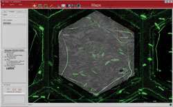 FEI correlative light and electron microscopy