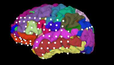 This is a diagram of locations in the brain monitored by electrodes in some of Dr. Nitin Tandon's patients (UTHealth), also being used for research into memory by Arne Ekstrom at the UC Davis Center for Neuroscience. (Source: Nitin Tandon, University of Texas Health Science Center, Houston)