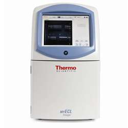 The Thermo Scientific MYECL Imager is an imaging instrument that delivers one-touch image capture and analysis of protein and nucleic acid gels and Western blots. 