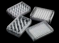 Porvair untreated microplates