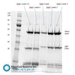 C5011 Hollow Fiber Bioreactor Cartridge from FiberCell Systems