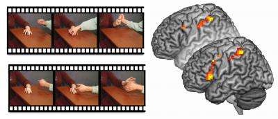 This image shows the movies shown to the participants (left) and brain activation of the participants with psychopathy without instructions (behind) and with instructions to empathize (front). (Source: Royal Netherlands Academy of Arts and Sciences)