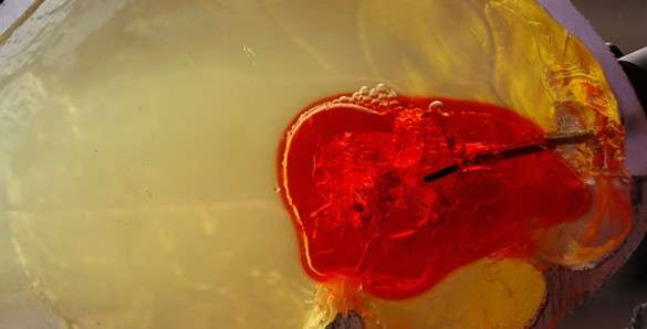 Test with phantom blood clot made out of gelatin. (Source: Vanderbilt University/Joe Howell)