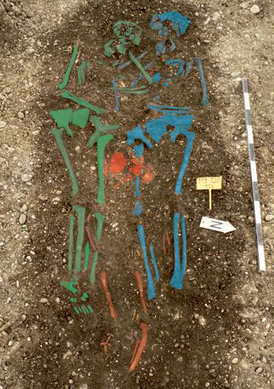 The remains of a family buried in a Bavarian plague pit. The skeletons have been artificially dyed for easier identification. (Source: M. Harbeck, University of Munich)