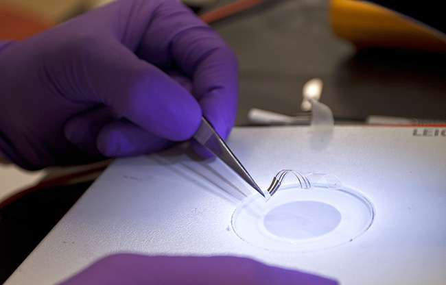 When heated, the devices can change shape and still maintain their electronic properties. (Source: University of Texas at Dallas)