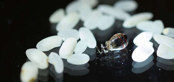 A batteryless electrostimulator next to medicinal pills for size comparison. The new powering method allows the device to be wirelessly powered deep inside the body, in locations such as the heart or brain. (Photo: Austin Yee)