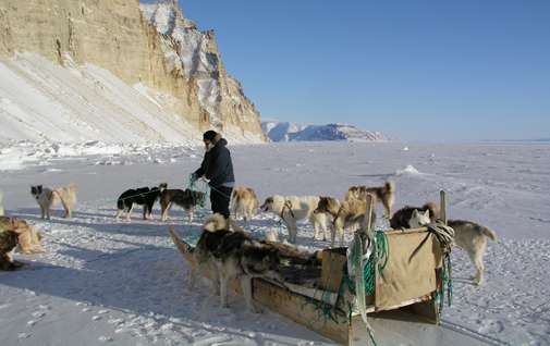 Several epidemiological studies have looked at the health implications of the transition from life as sealers and hunters in small isolated communities to a modern lifestyle with appreciable dietary changes.