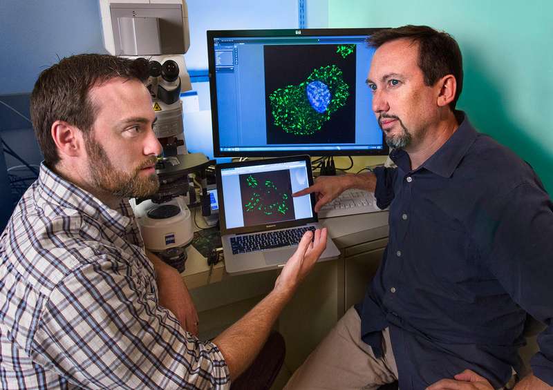 Jonathan Goodwin and Reuben J. Shaw, professor in Salk's Molecular and Cell Biology Laboratory and a Howard Hughes Medical Institute early career scientist. (Image: Courtesy of the Salk Institute for Biological Studies)