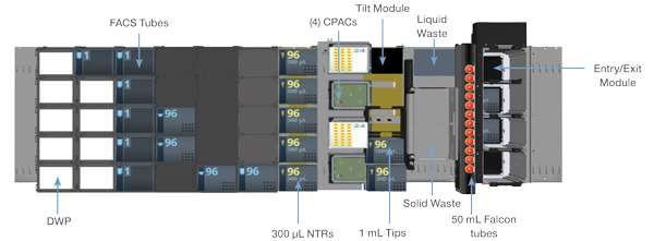 VANTAGE deck visualization for immunostaining and immunophenotyping protocols.